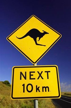 Australia Kangaroo Warning Sign